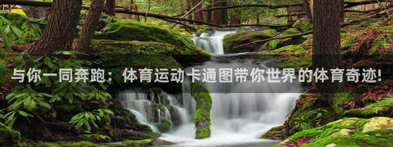注册MK体育官方正版app：与你一同奔跑：体育运动卡