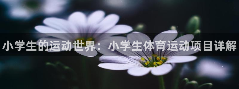 海南MK体育官网下载：小学生的运动世界：小学生体育运
