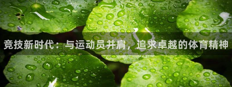 MK体育官网下载招商电话号码查询：竞技新时代：与运动员并肩，