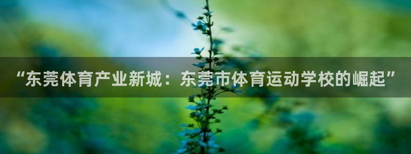MK体育官网下载平台注册：“东莞体育产业新城：东莞市