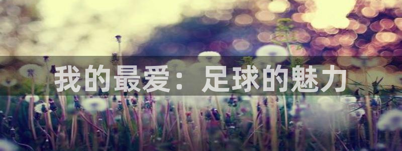 MK体育官网下载软件：我的最爱：足球的魅力