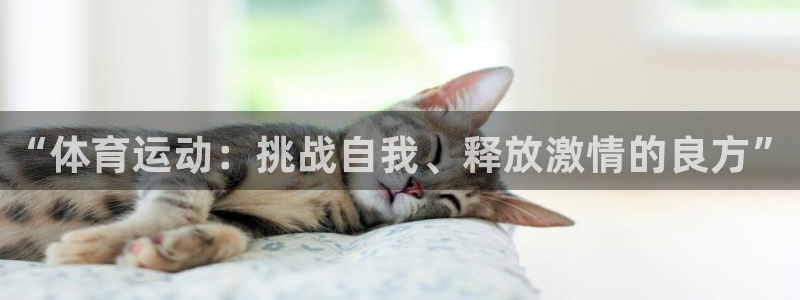 MK体育官网下载平台假的吗是真的吗吗：“体育运动：挑