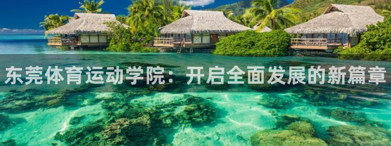 MK体育官网下载是干嘛的公司：东莞体育运动学院：开启