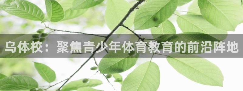 MK体育官方正版app娱乐首页官网下载：乌体校：聚焦