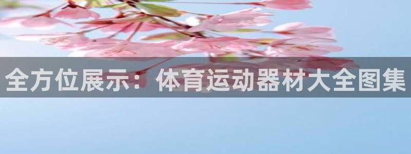 MK体育官方正版app娱乐首页官网下载：全方位展示：