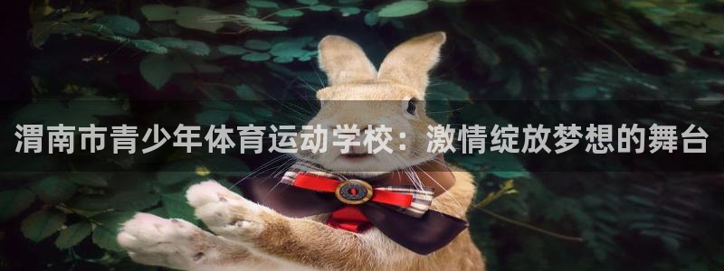 MK体育官网下载平台是正规平台吗知乎：渭南市青少年体