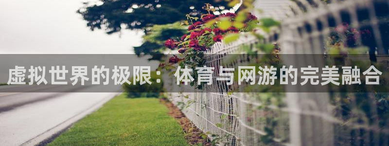 MK体育官网下载招商电话号码是多少啊：虚拟世界的极限