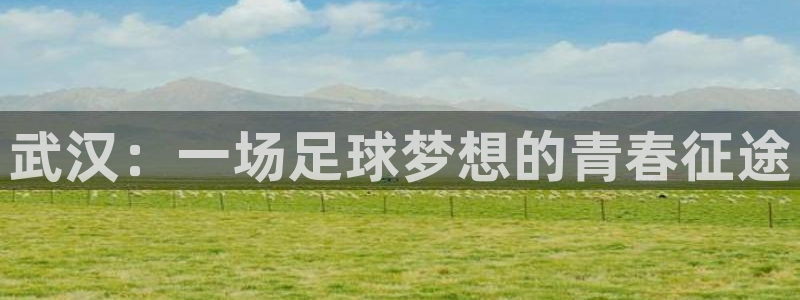 海南MK体育官网下载发展怎么样：武汉：一场足球梦想的青春征途