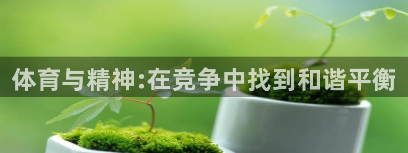 MK体育官方正版app官方