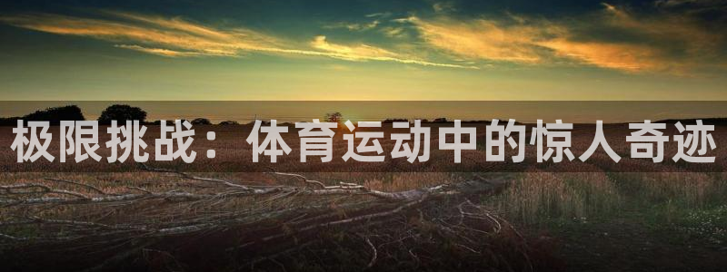 海南MK体育官网下载：极限挑战：体育运动中的惊人奇迹