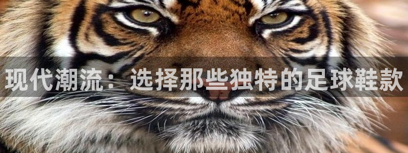 MK体育官方正版app代理：现代潮流：选择那些独特的