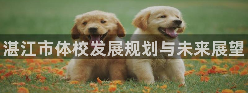 MK体育官网下载平台是正规平台吗知乎：湛江市体校发展