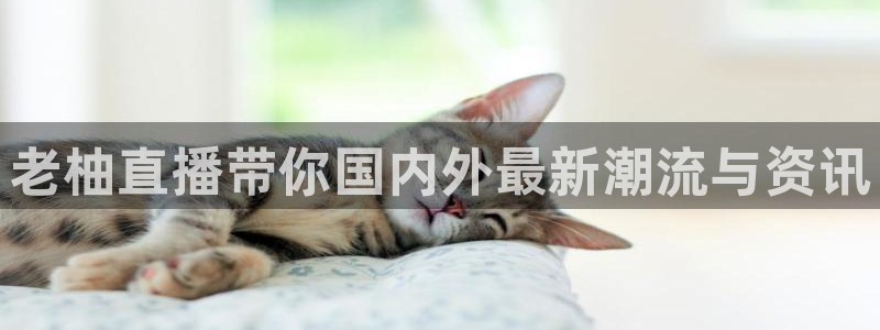 新球体育足球即时比分：老柚直播带你国内外最新潮流与资讯