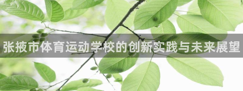 MK体育官方正版app五金厂：张掖市体育运动学校的创新实践与