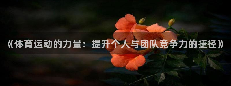 MK体育官网下载招商电话地址查询：《体育运动的力量：提升个人
