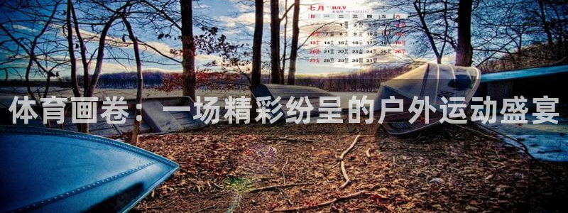 MK体育官方正版app集团