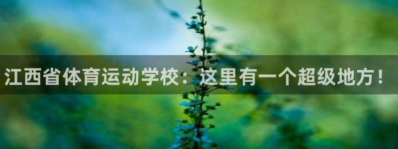 MK体育官网下载招商电话号码查询