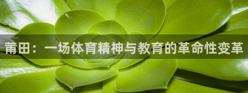 MK体育官网下载开户