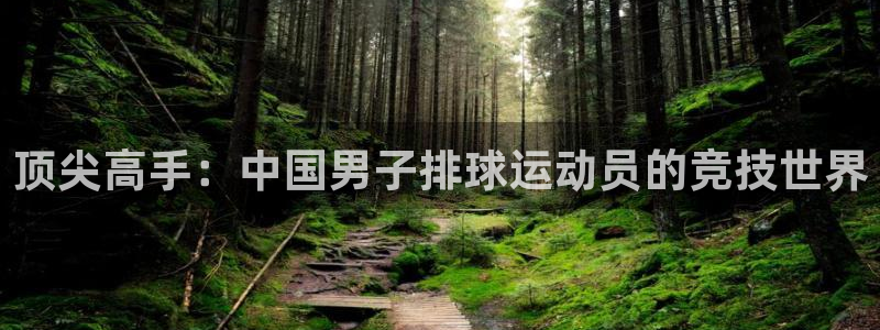 MK体育官方正版app娱乐首页官网下载：顶尖高手：中国男子排