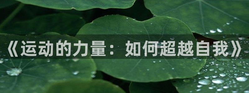 MK体育官方正版app娱乐是那个系列的台子：《运动的力量：如