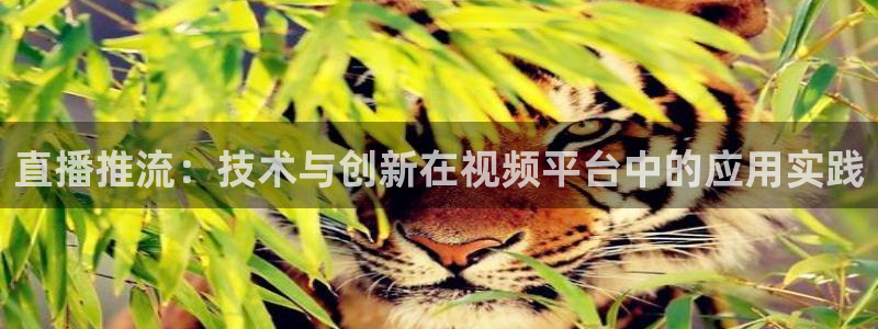 新球体育网球比分：直播推流：技术与创新在视频平台中的应用实践