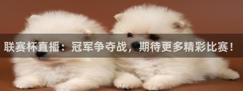 新球体育直播：联赛杯直播：冠军争夺战，期待更多精彩比赛！