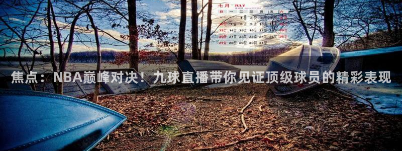 新球体育足球即时比分：焦点：NBA巅峰对决！九球直播带你见证顶级球员的精彩表现