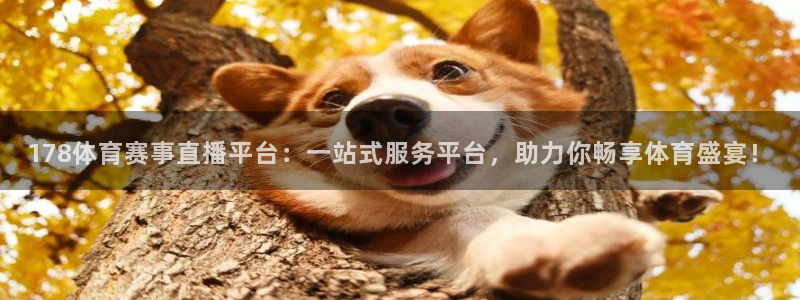 新球体育足球比分：178体育赛事直播平台：一站式服务平台，助力你畅享体育盛宴！