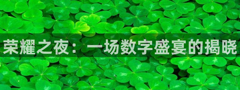 新球体育比分网：荣耀之夜：一场数字盛宴的揭晓