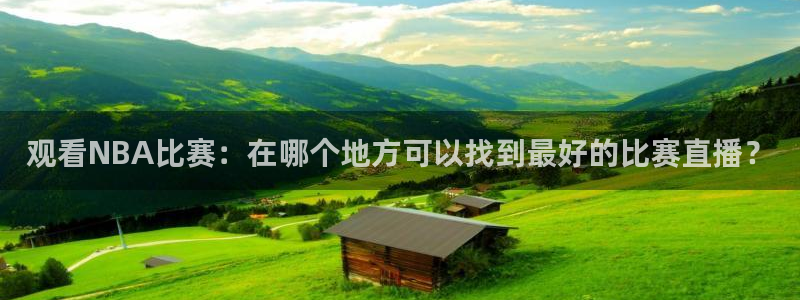 新球体育网球比分