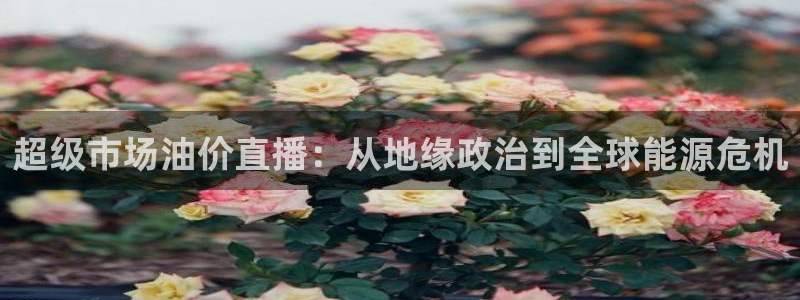 新球体育比分