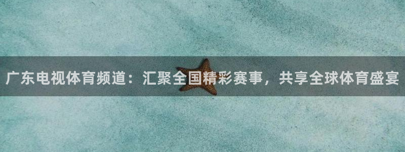 新球体育网球比分