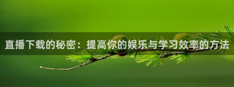 新球体育足球官网