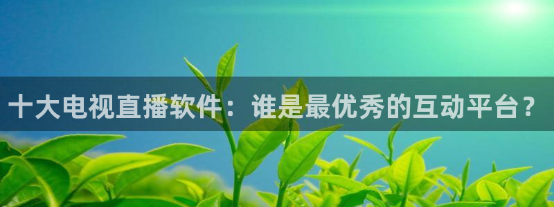 新球体育足球比分
