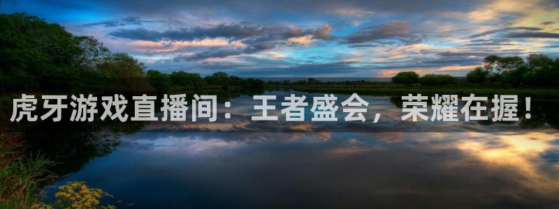 新球体育即时分