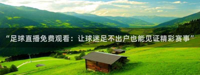 新球体育足球